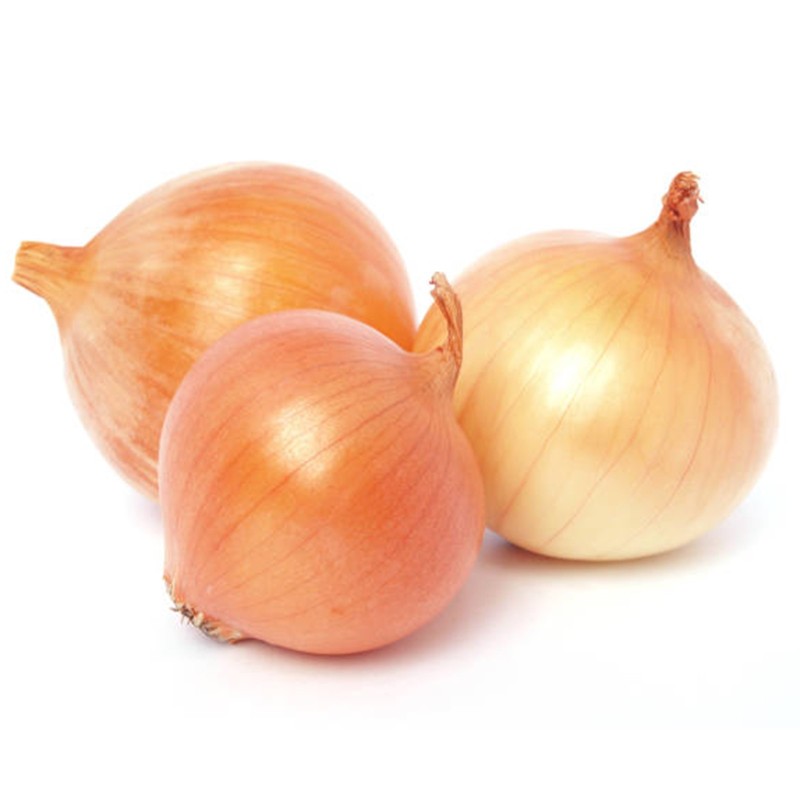 Graines d'oignon hongrois Tisza | Seeds Shop Store