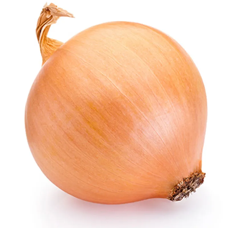Tisza Hungarian Onion Seeds | Seeds Shop Store