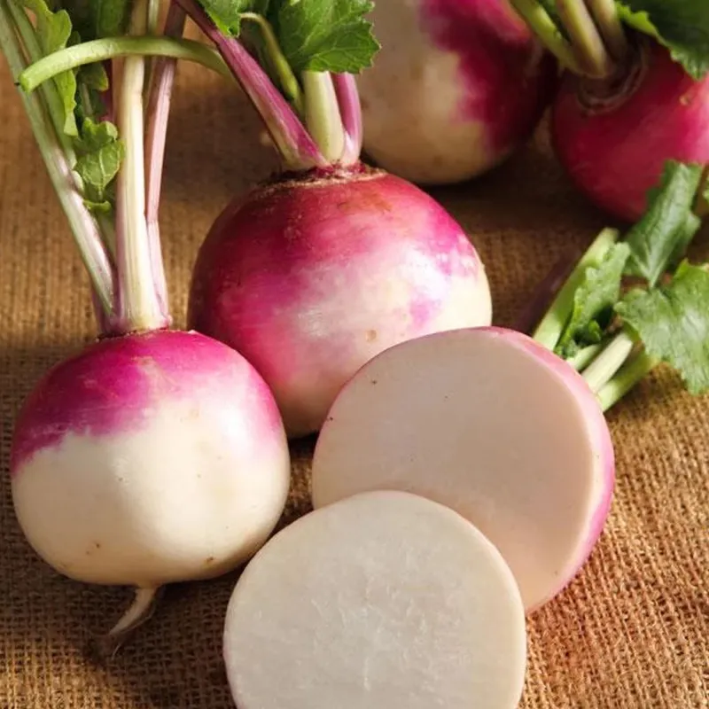 Turnip seeds Early Purple | Seeds Shop Store