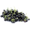 Sementes De Sunberry (Solanum burbankii) | Seeds Shop Store