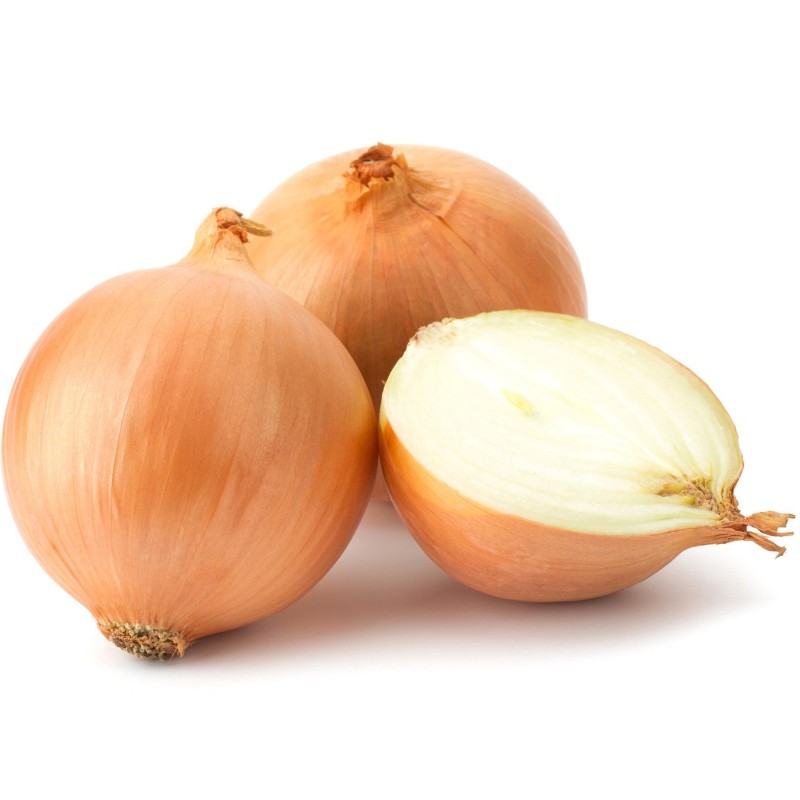 Knight onion seeds | Seeds Shop Store