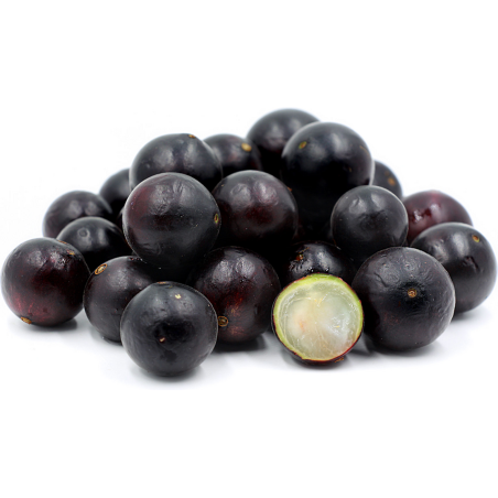 Brazilian Grapetree, Jabuticaba Seeds | Seeds Shop Store