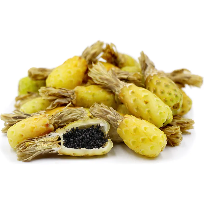 Mexico Barrel Cactus - Ferocactus Schwarzii Seeds | Seeds Shop Store