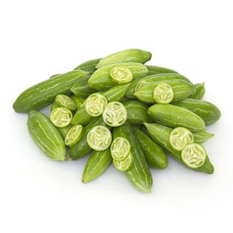 Sementes de Coccinia sessilifolia (planta alpinista) | Seeds Shop Store