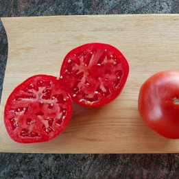 Sementes de tomate grego Kalampaka - 2.205