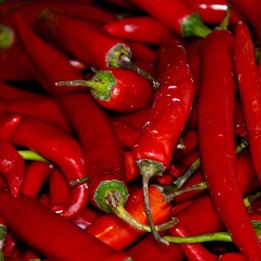 Σπόροι γλυκού πιπεριού "Turkish Delight" - 1.53