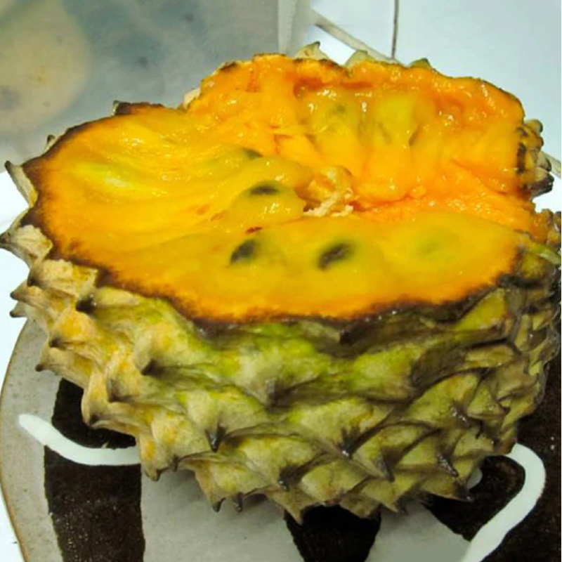 Sonkoya Seeds (Annona purpurea) | Seeds Shop Store