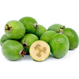 Sementes de Feijoa, Goiaba-serrana (Acca sellowiana) - 222.850193