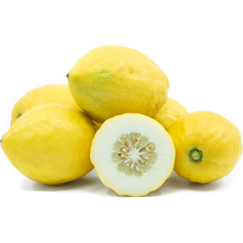 Etrog Citronfrön | Seeds Shop Store