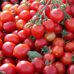 Zaadjes van Tomaat Karamel Datterino - 2.7