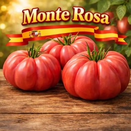 Semi di pomodoro rosa a costine Monte Rosa - 2.55