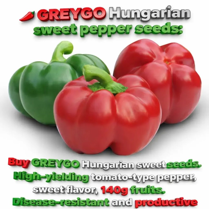 GREYGO magyar paprika magok | Seeds Shop Store