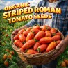 Seme rajčice Striped Roman - 1.95