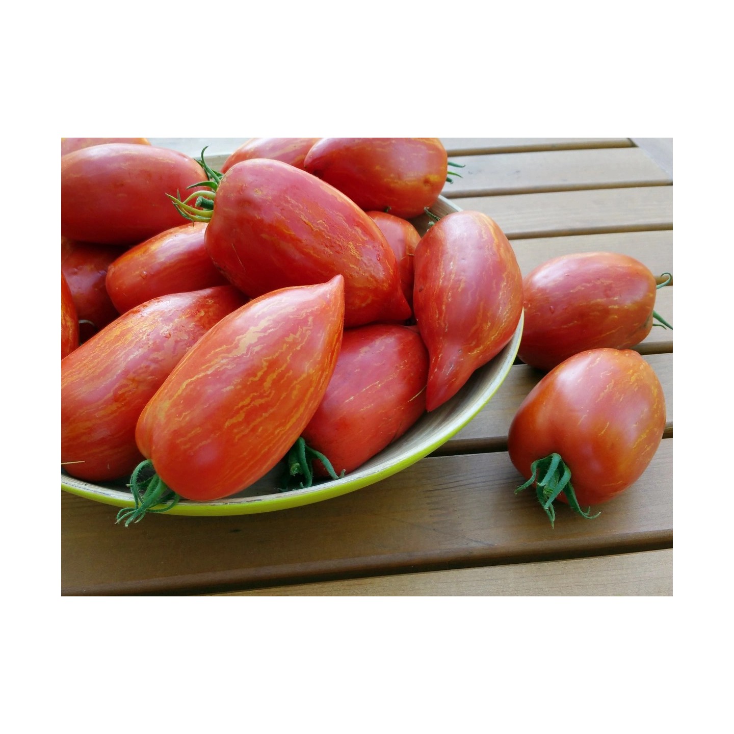 Striped Roman Tomaten Samen - 1.95