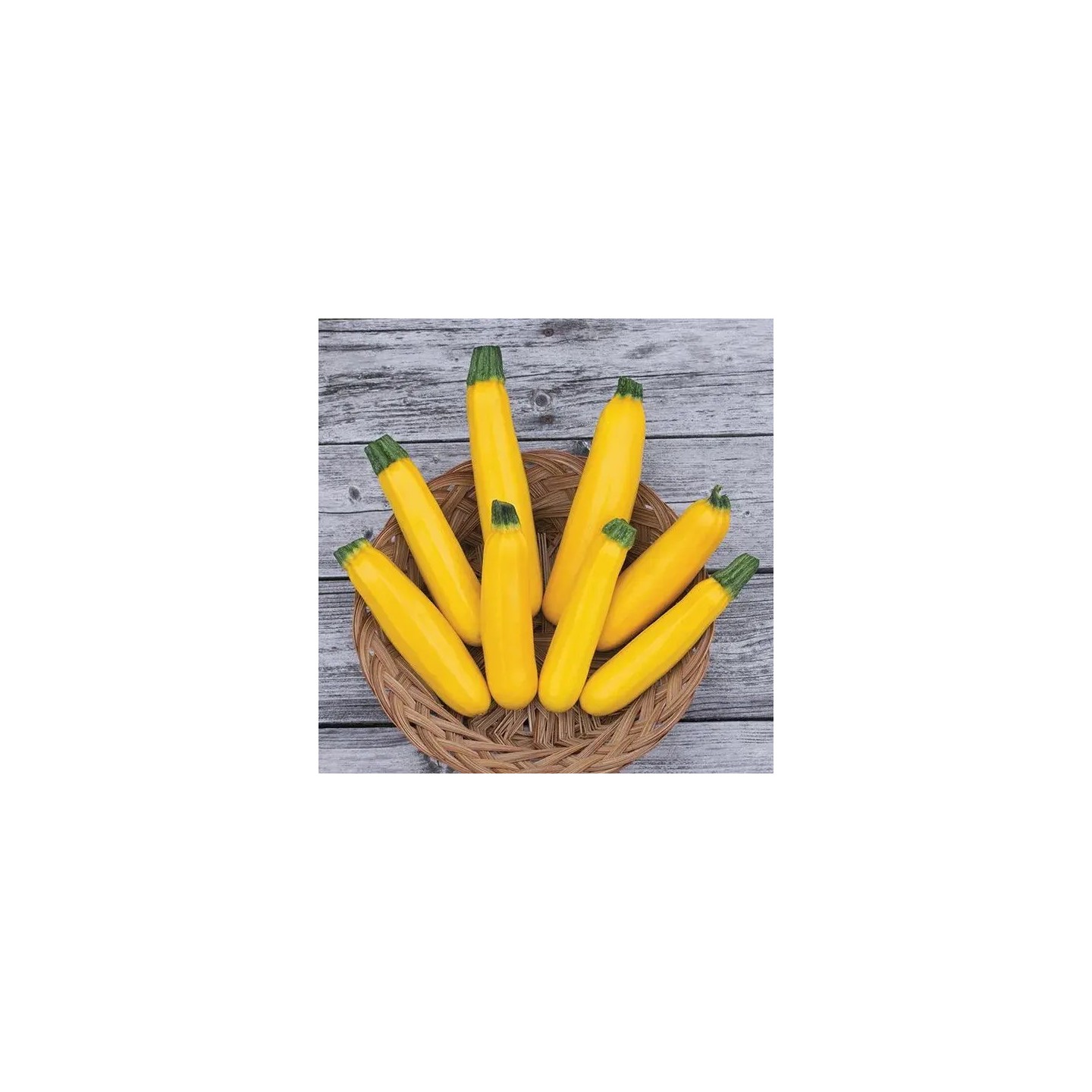 Gold Rush F1 courgettezaden - 2.35