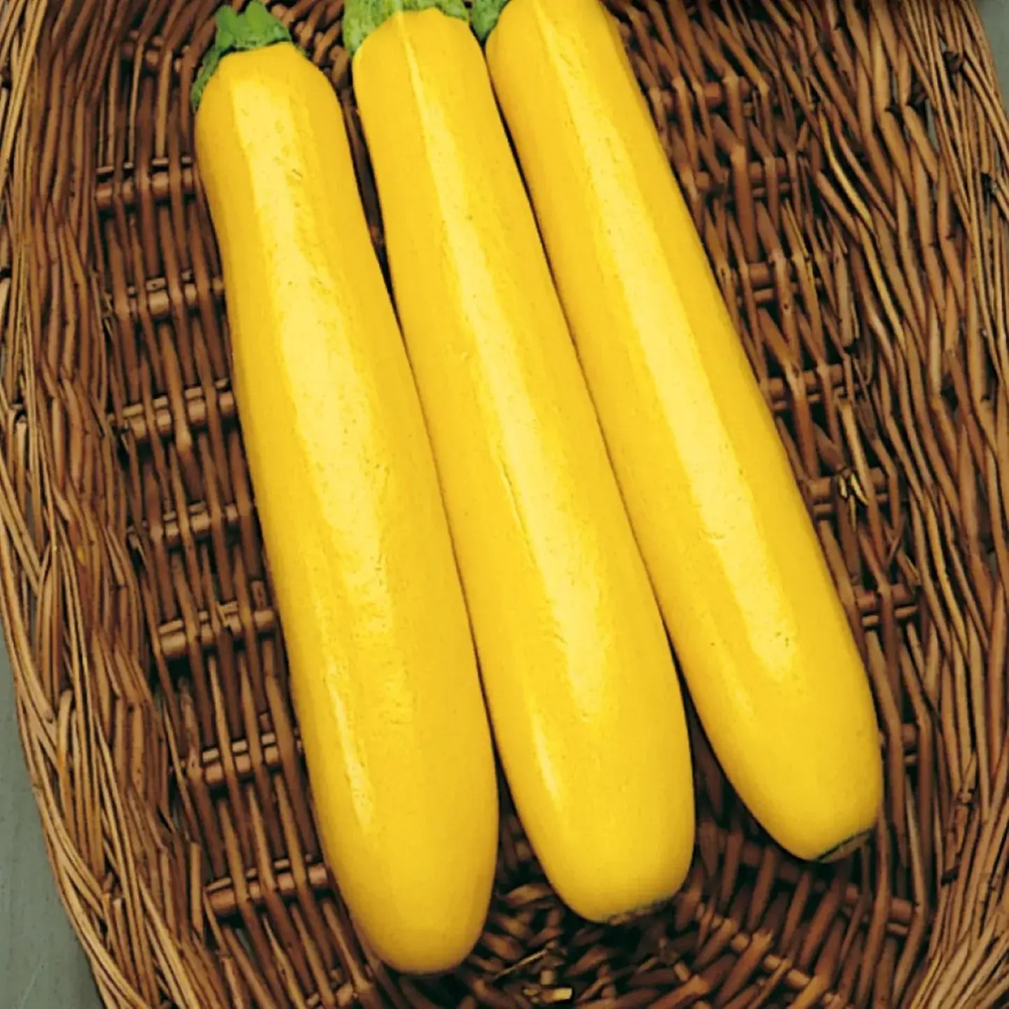 Graines de Courgette Gold Rush F1 - 2.35