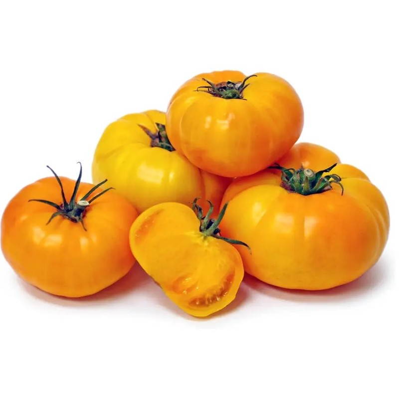 Brandywine Yellow tomato seeds | Seeds Shop Store