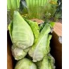 Caraflex cabbage seeds F1 | Seeds Shop Store