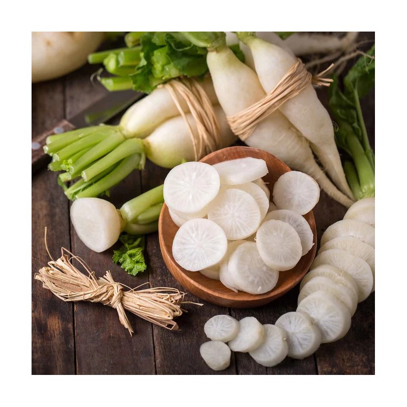 Japanese Minowase Radish Seeds | Seeds Shop Store