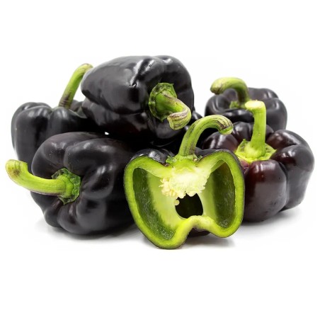 Loran lila édes paprika magok - 2.4