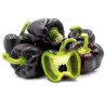 Semillas de pimiento morado dulce Loran - 2.4