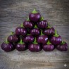 Purple sweet pepper seeds Loran - 2.4
