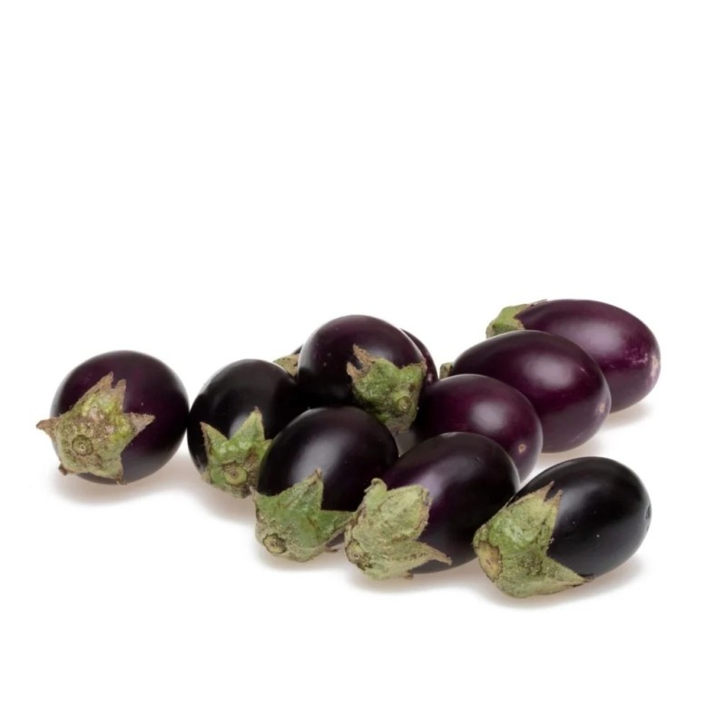 Patio Baby Eggplant Seeds (F1) | Seeds Shop Store