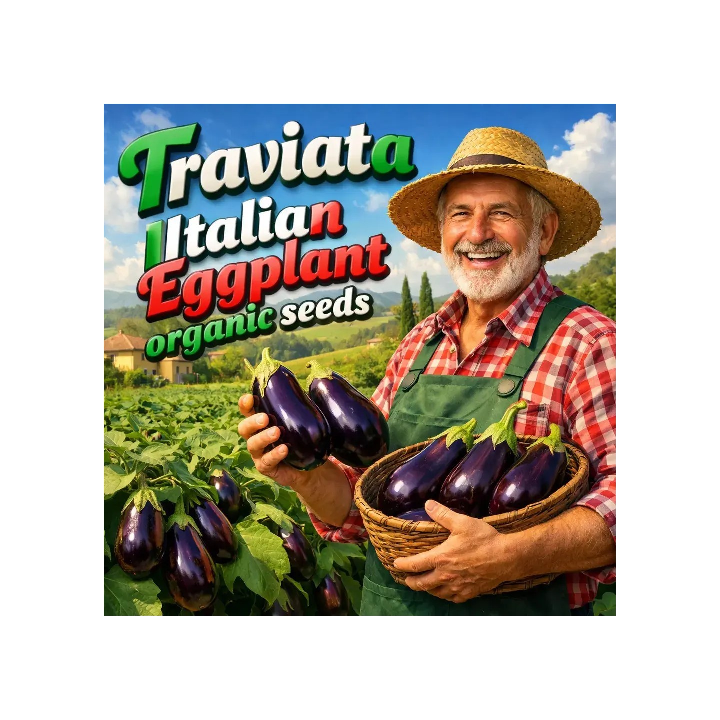 Italienische Auberginen-Samen Traviata - 2.5