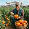 Tomato Seeds Oxheart Orange | Seeds Shop Store