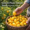Sementes de tomate Limão (Lemon Plum) | Seeds Shop Store