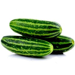 Sementes de melão almiscarado tailandês | Quality organic seeds | Exotic Seeds Shop