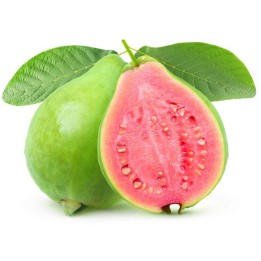 Semena guavy obecné (Psidium guajava) | Quality organic seeds | Exotic Seeds Shop