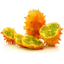 Semi di Kiwano (Cucumis metuliferus) | Quality organic seeds | Exotic Seeds Shop