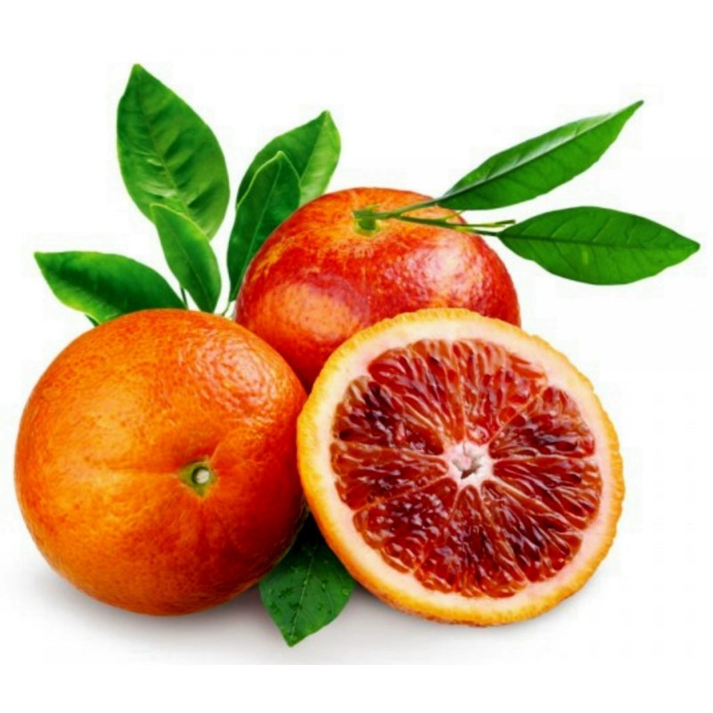 Blutorange Samen “Moro Blood Orange” | Seeds Shop Store