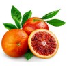 Blutorange Samen “Moro Blood Orange” | Seeds Shop Store