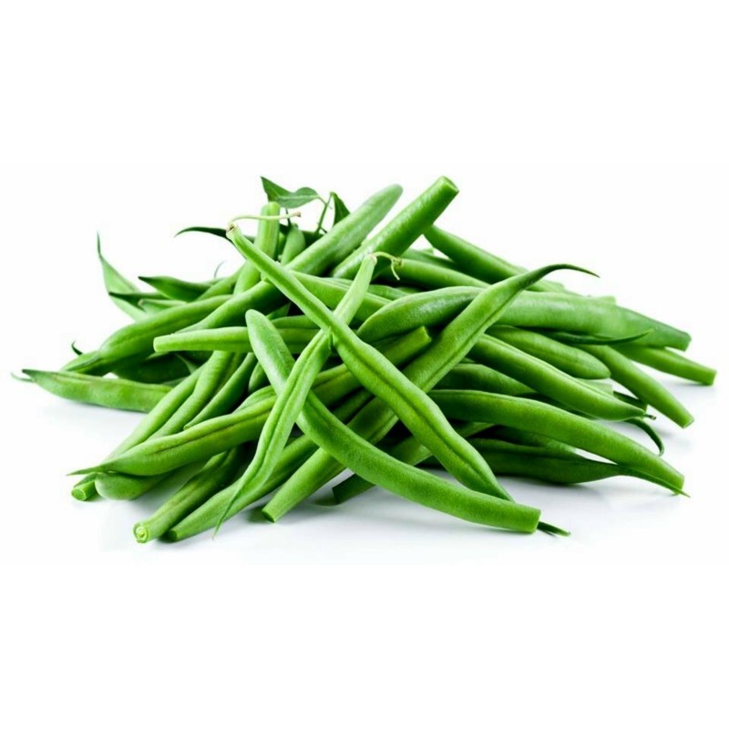 Climbing green bean Fasold Seeds | Seeds Shop Store