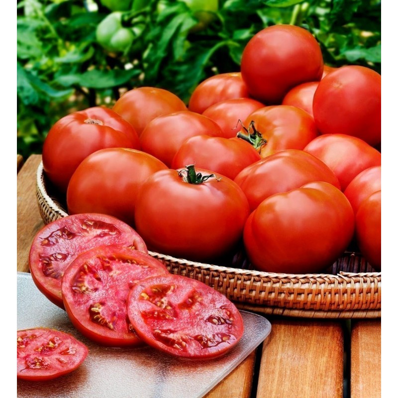 Heinz 1350 Tomato Seeds | Seeds Shop Store
