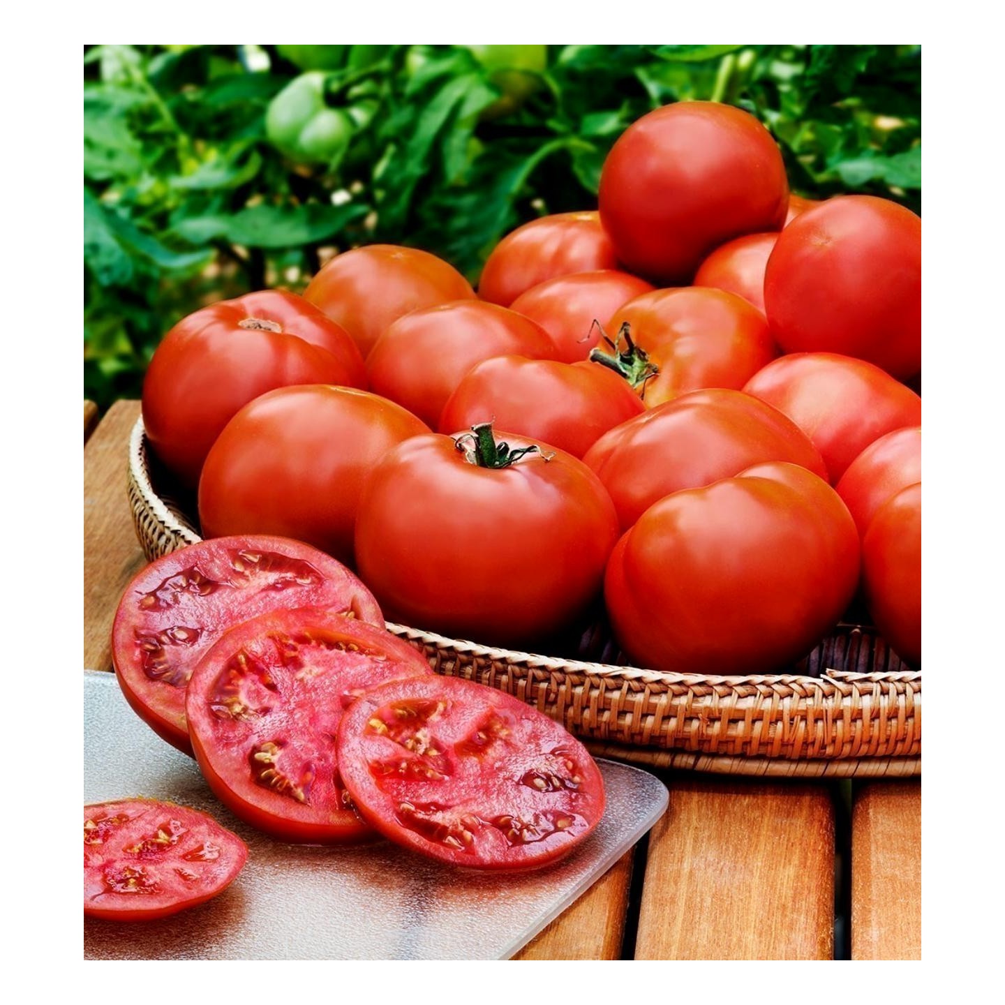 Heinz 1350 Tomato Seeds | Quality organic seeds | Exotic Seeds Shop