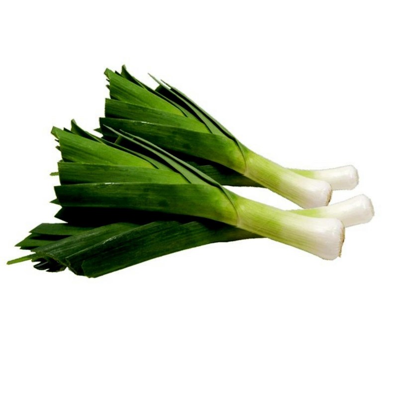 Leek seeds Elefant (Allium Porrum) | Seeds Shop Store