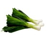 Leek seeds Elefant (Allium Porrum) | Seeds Shop Store