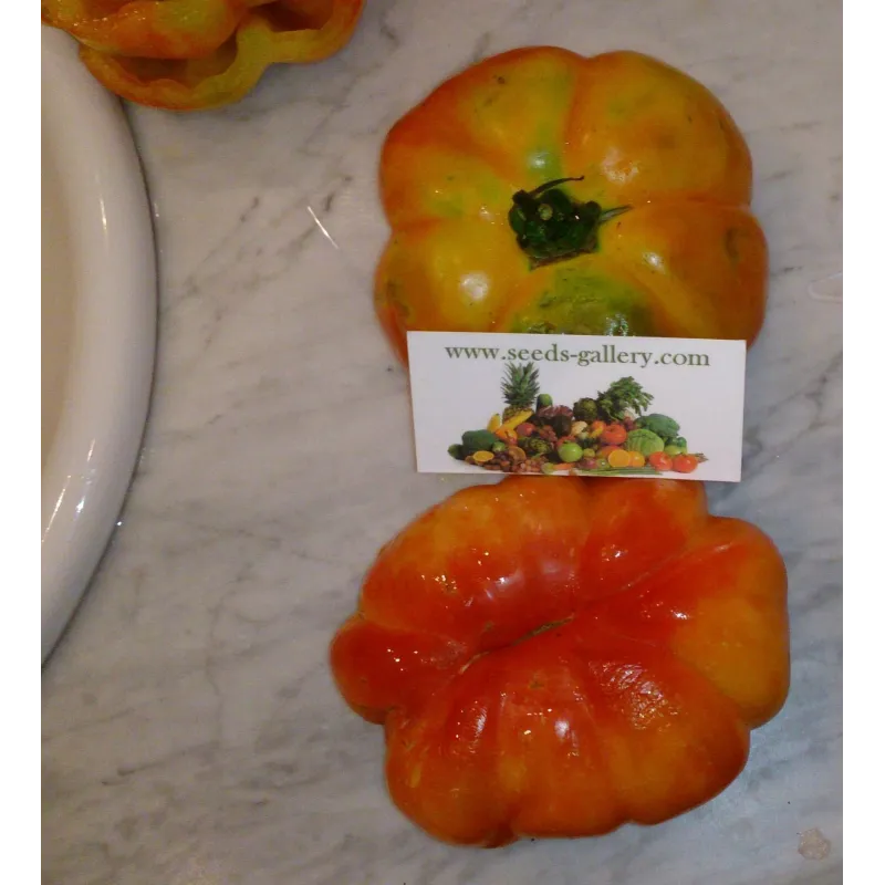 Spanish tomato seeds Montserrat | Seeds Shop Store