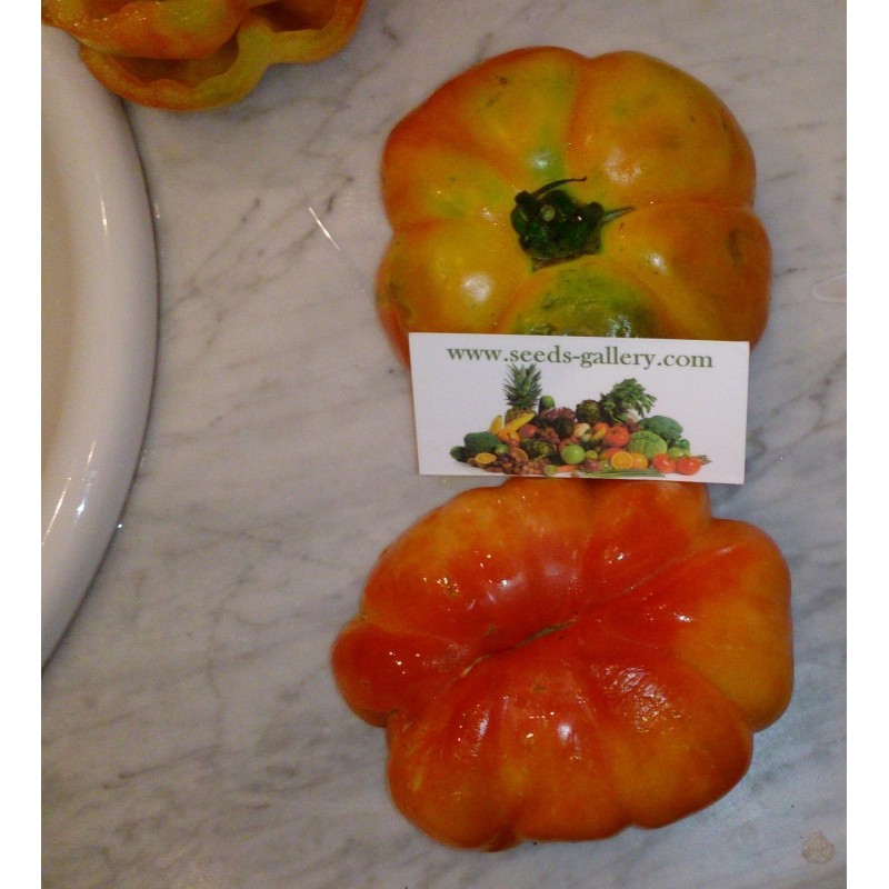 Sementes de tomate espanhol Montserrat | Seeds Shop Store