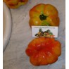 Spanish tomato seeds Montserrat | Seeds Shop Store