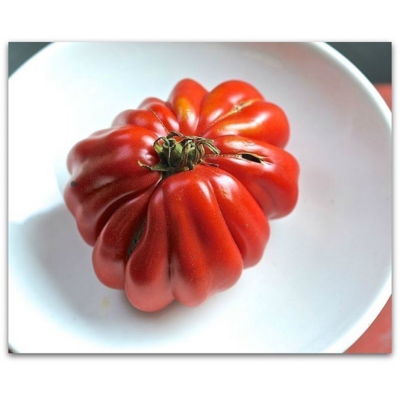 Pink Accordion Tomato Seeds | Seeds Shop Store
