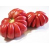 Pink Accordion Tomato Seeds | Seeds Shop Store
