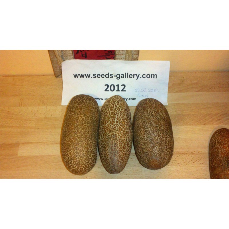 Sikkim Krastavac Seme | Seeds Shop Store