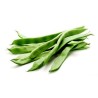 Semi di fagioli verde Cer Starozagorski | Seeds Shop Store