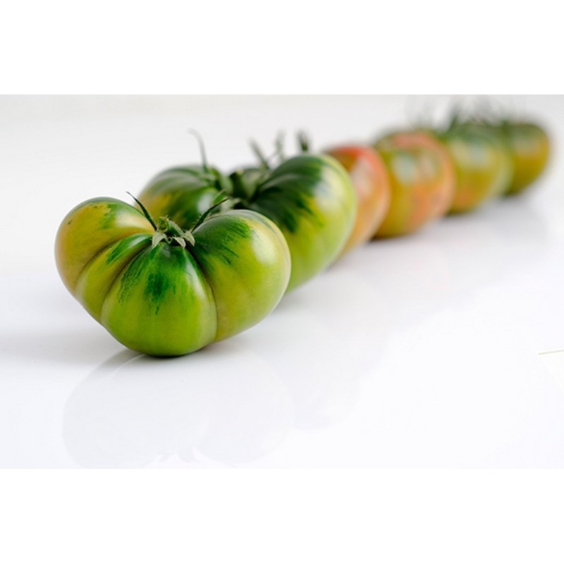 Raf Tomaten Samen | Seeds Shop Store