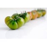 Raf Tomaten Samen | Seeds Shop Store
