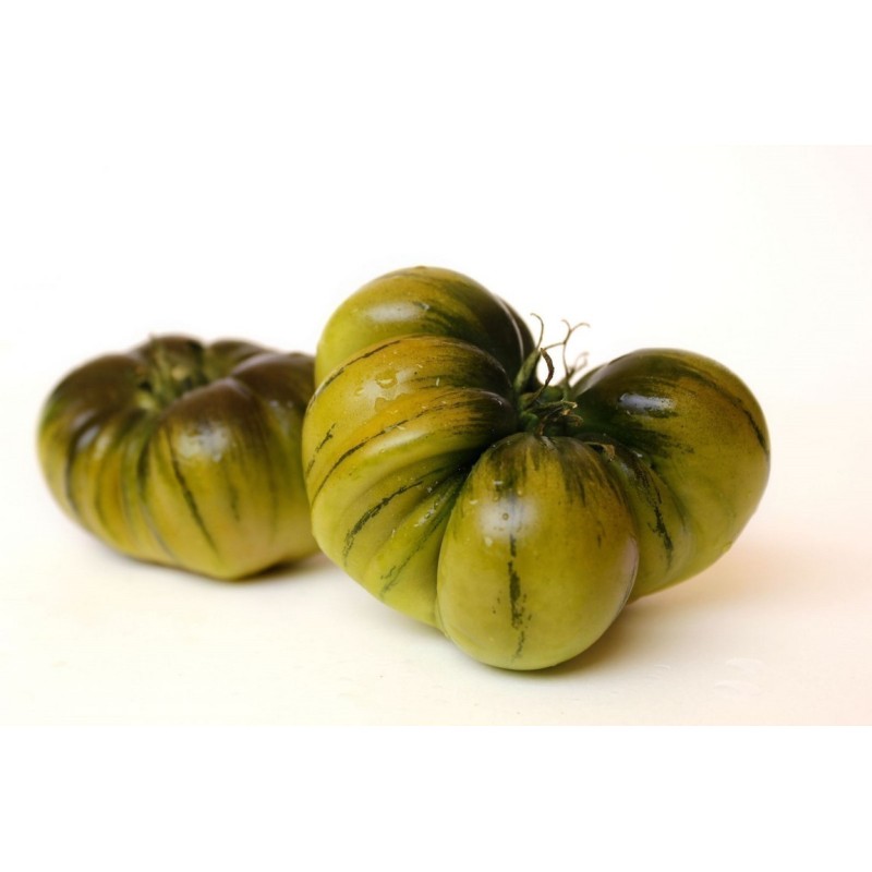 Raf Tomaten Samen | Seeds Shop Store